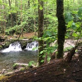 Review photo of Big Creek Campground — Great Smoky Mountains National Park by Alison W., June 8, 2021