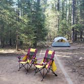 Review photo of Knoll Lake Campground by Roman R., June 8, 2021