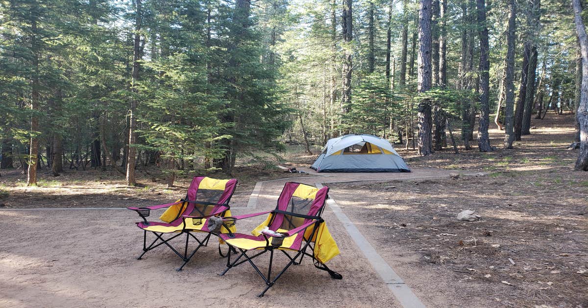 Knoll Lake Campground | Kohls Ranch, Arizona