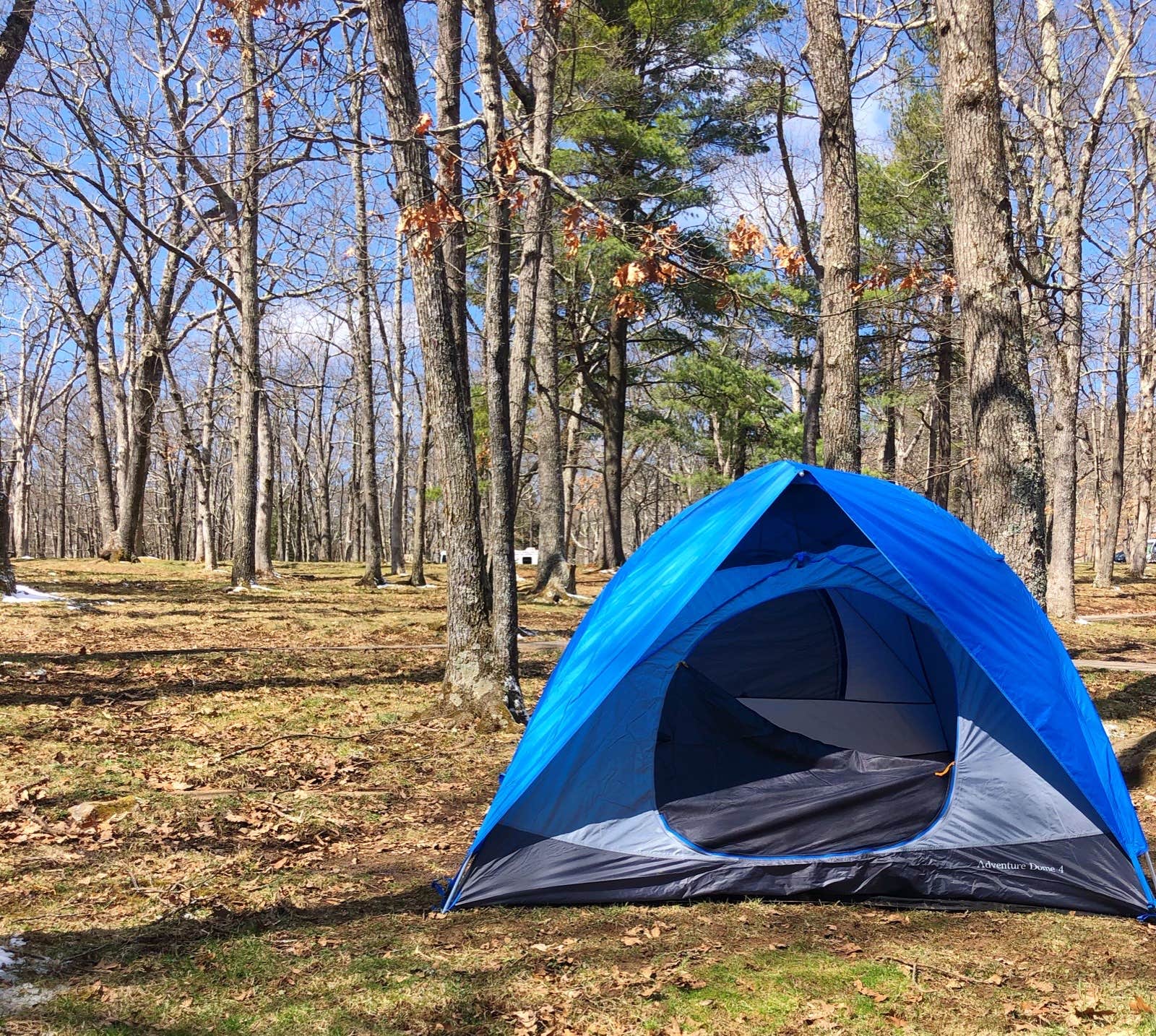 Alison W.'s photo at Big Meadows Campground — Shenandoah National Park near Shenandoah, VA