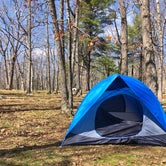 Review photo of Big Meadows Campground — Shenandoah National Park by Alison W., June 8, 2021