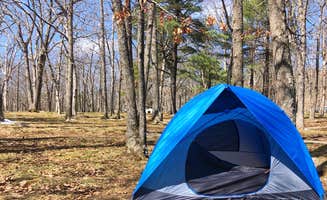Alison W.'s photo at Big Meadows Campground — Shenandoah National Park near Shenandoah, VA