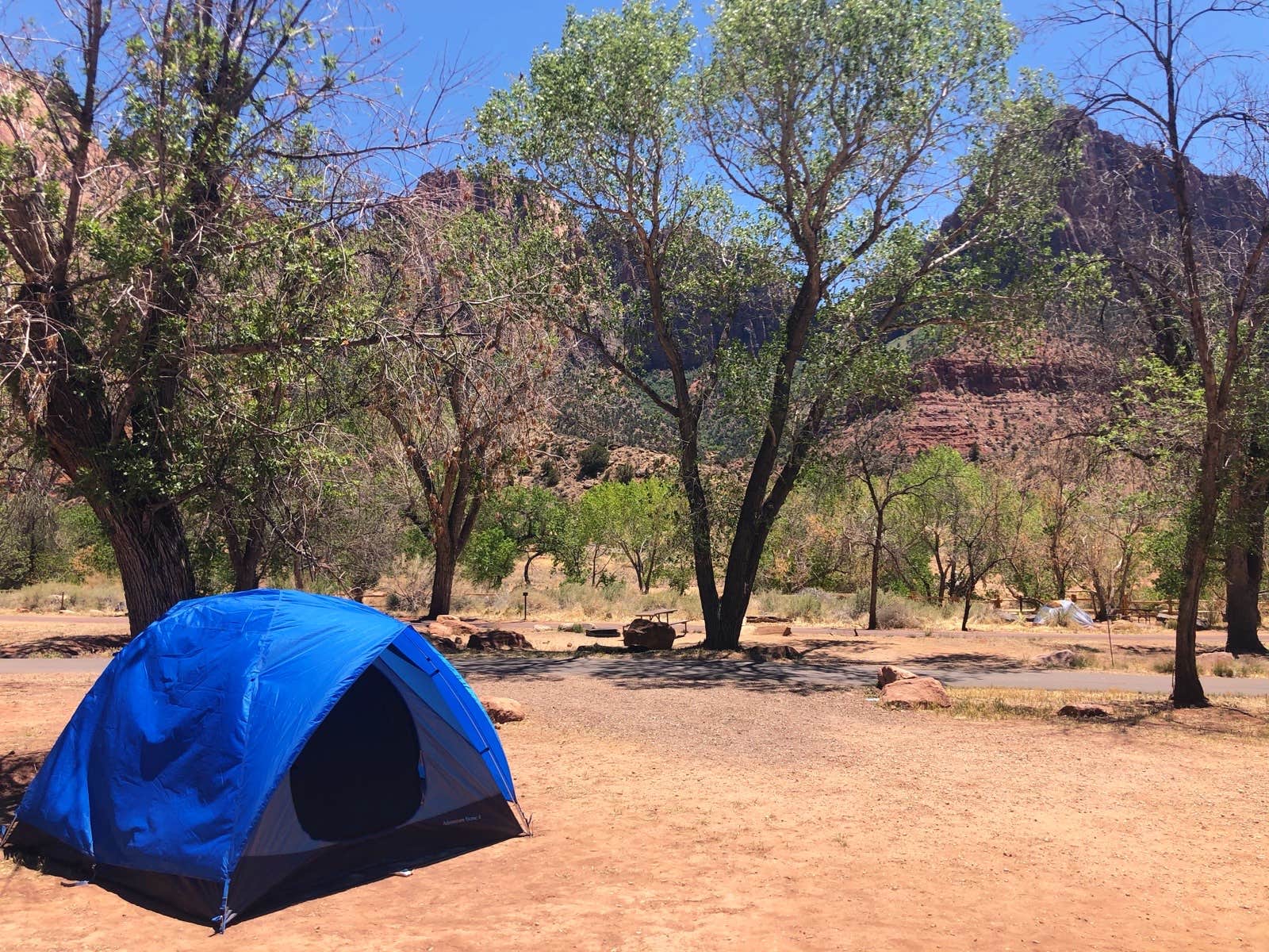 Alison W.'s photo at South Campground — Zion National Park near Zion National Park