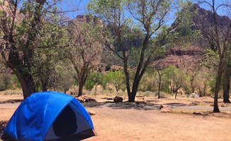 Alison W.'s photo at South Campground — Zion National Park near Hildale, UT