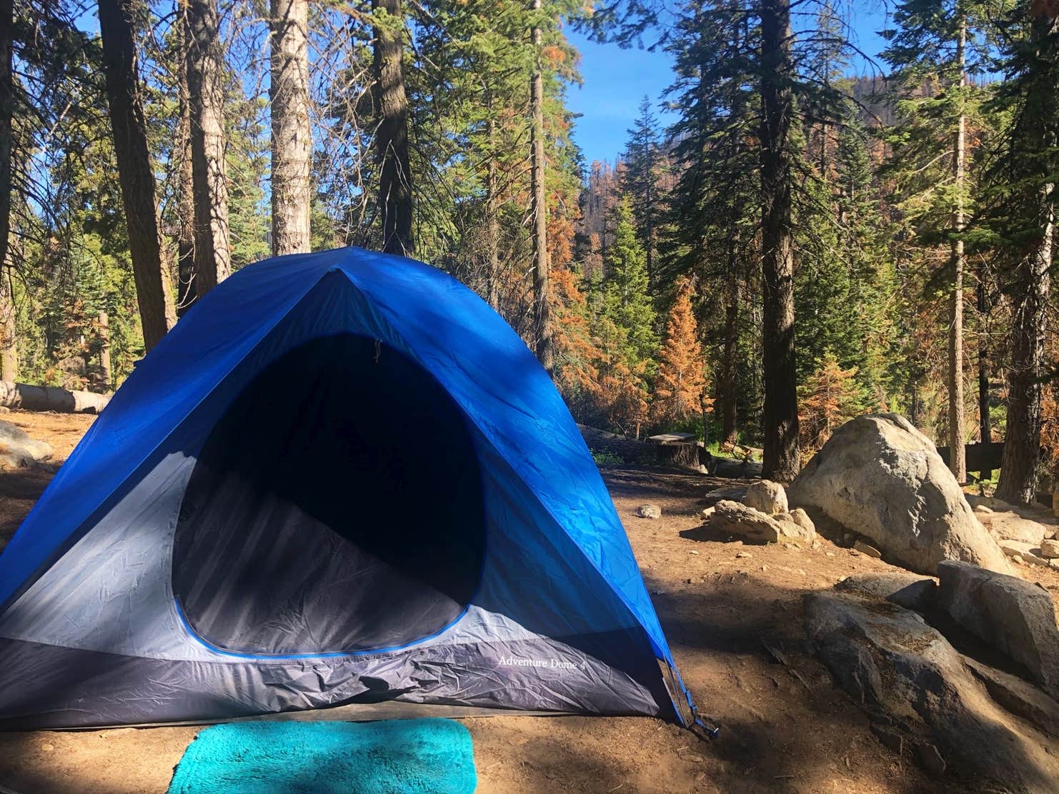 Quaking Aspen Campground The Dyrt