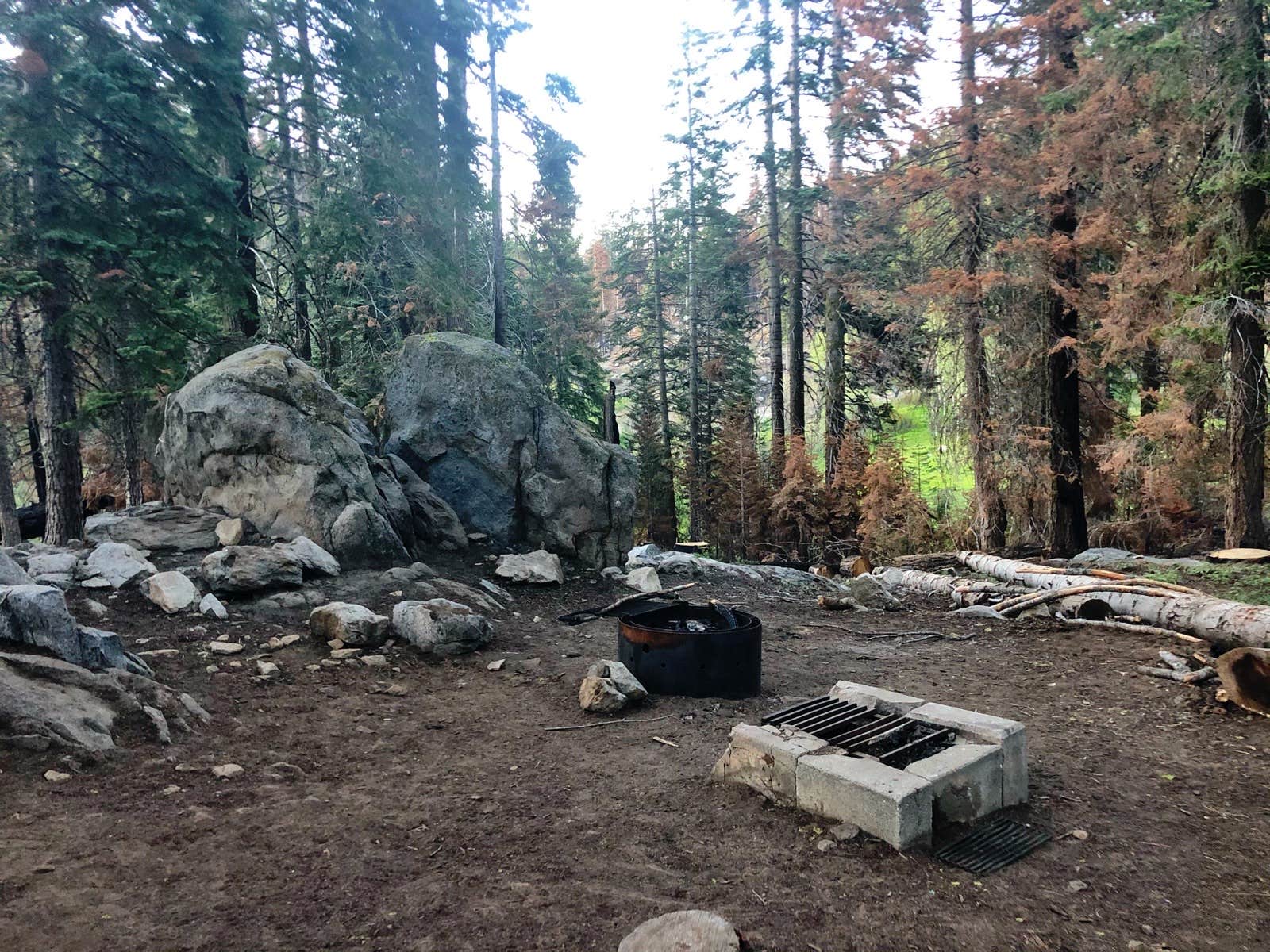 Quaking Aspen Campground The Dyrt