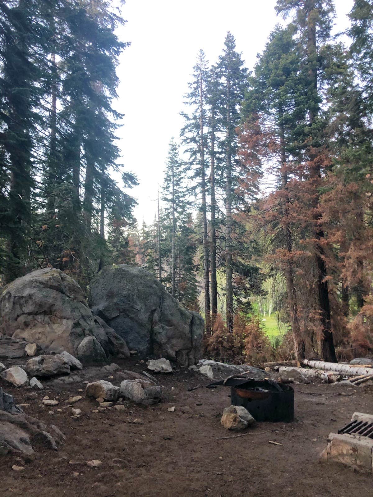 Quaking Aspen Campground The Dyrt