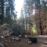Review photo of Quaking Aspen Campground by Alison W., June 8, 2021