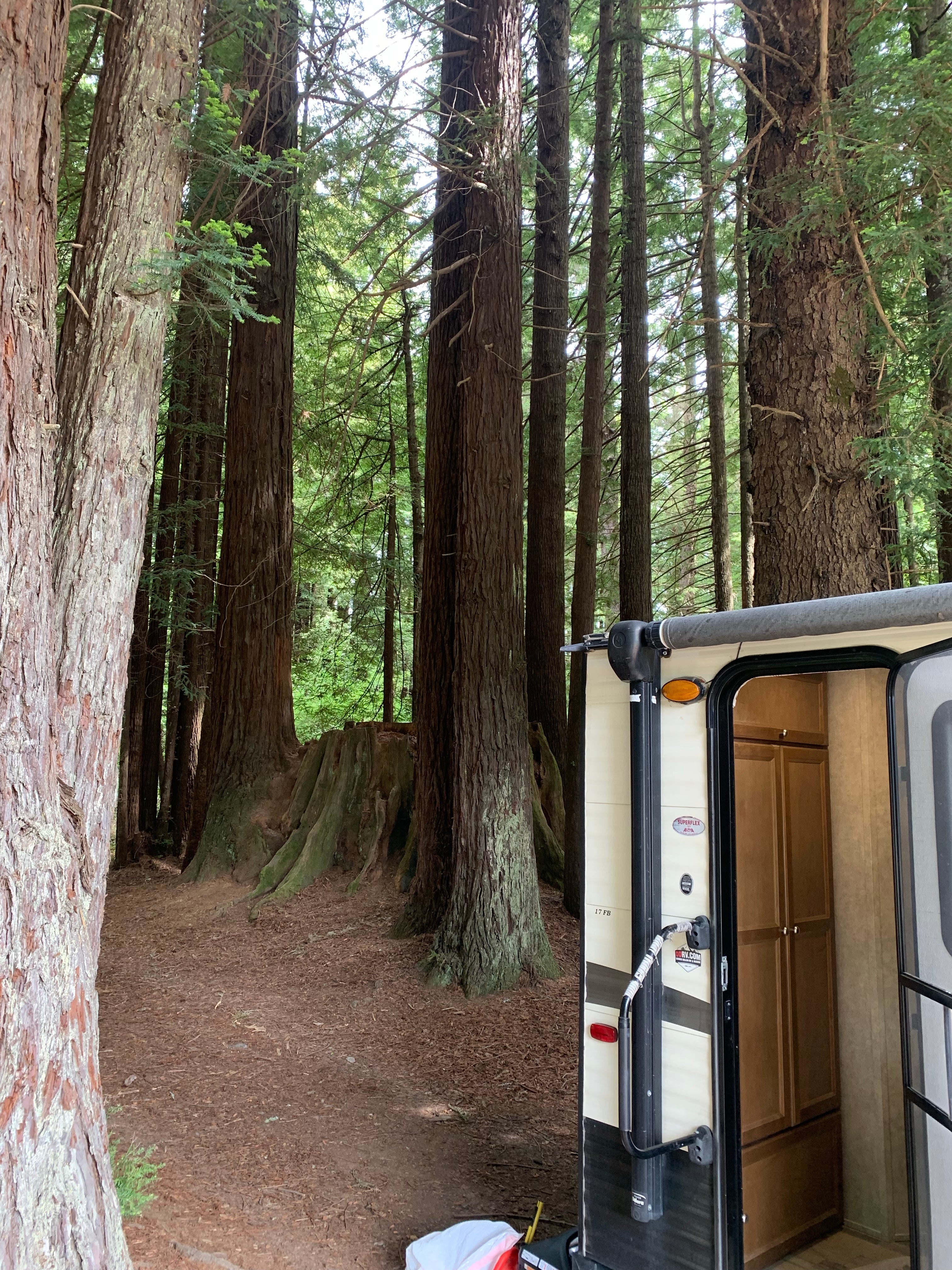 Camper submitted image from Crescent City/Redwoods KOA - 3