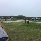 Review photo of Assateague State Park Campground by Erin W., June 8, 2021