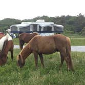 Review photo of Assateague State Park Campground by Erin W., June 8, 2021