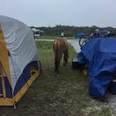 Review photo of Assateague State Park Campground by Erin W., June 8, 2021