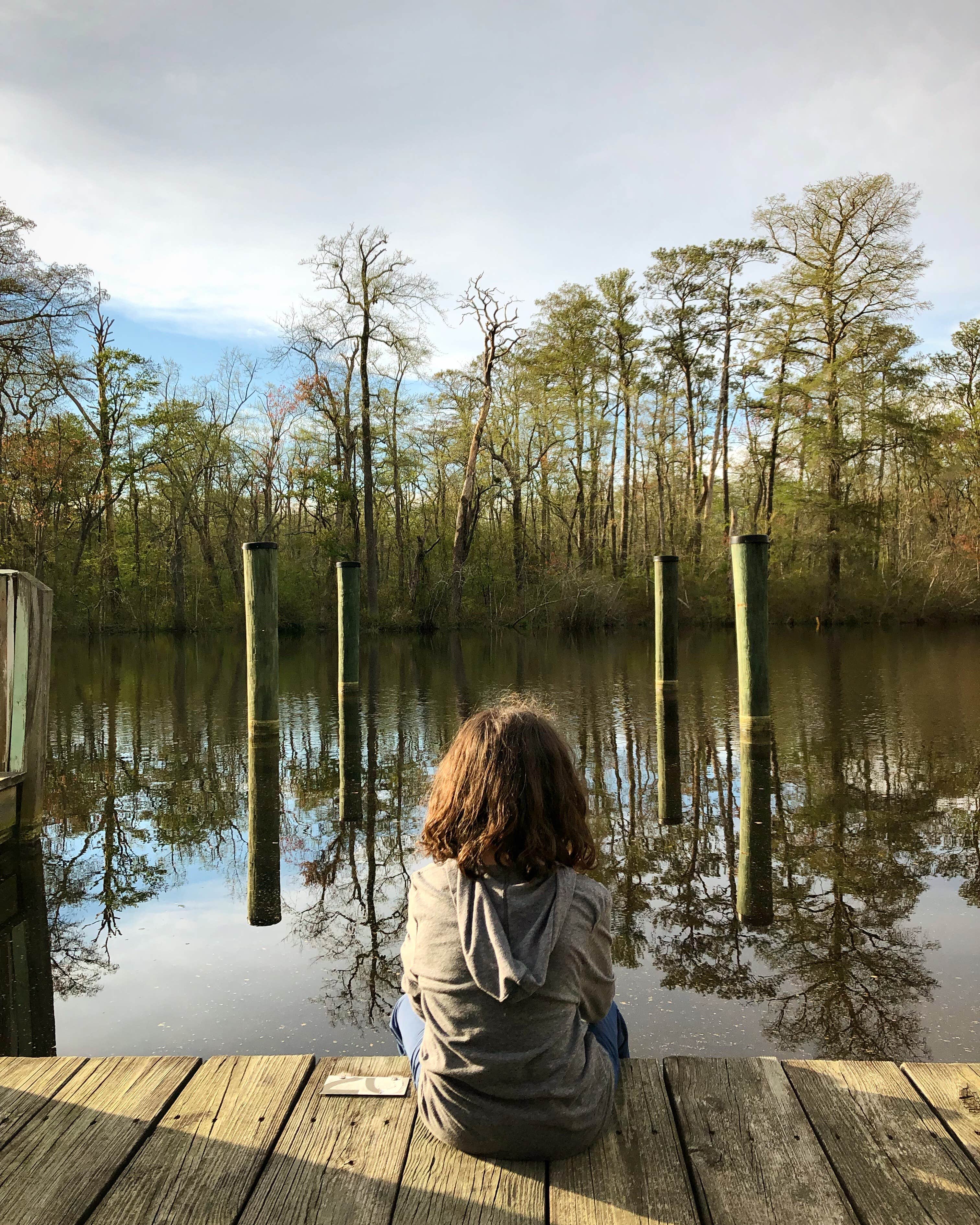 Camper submitted image from Pocomoke River State Park Campground - 5
