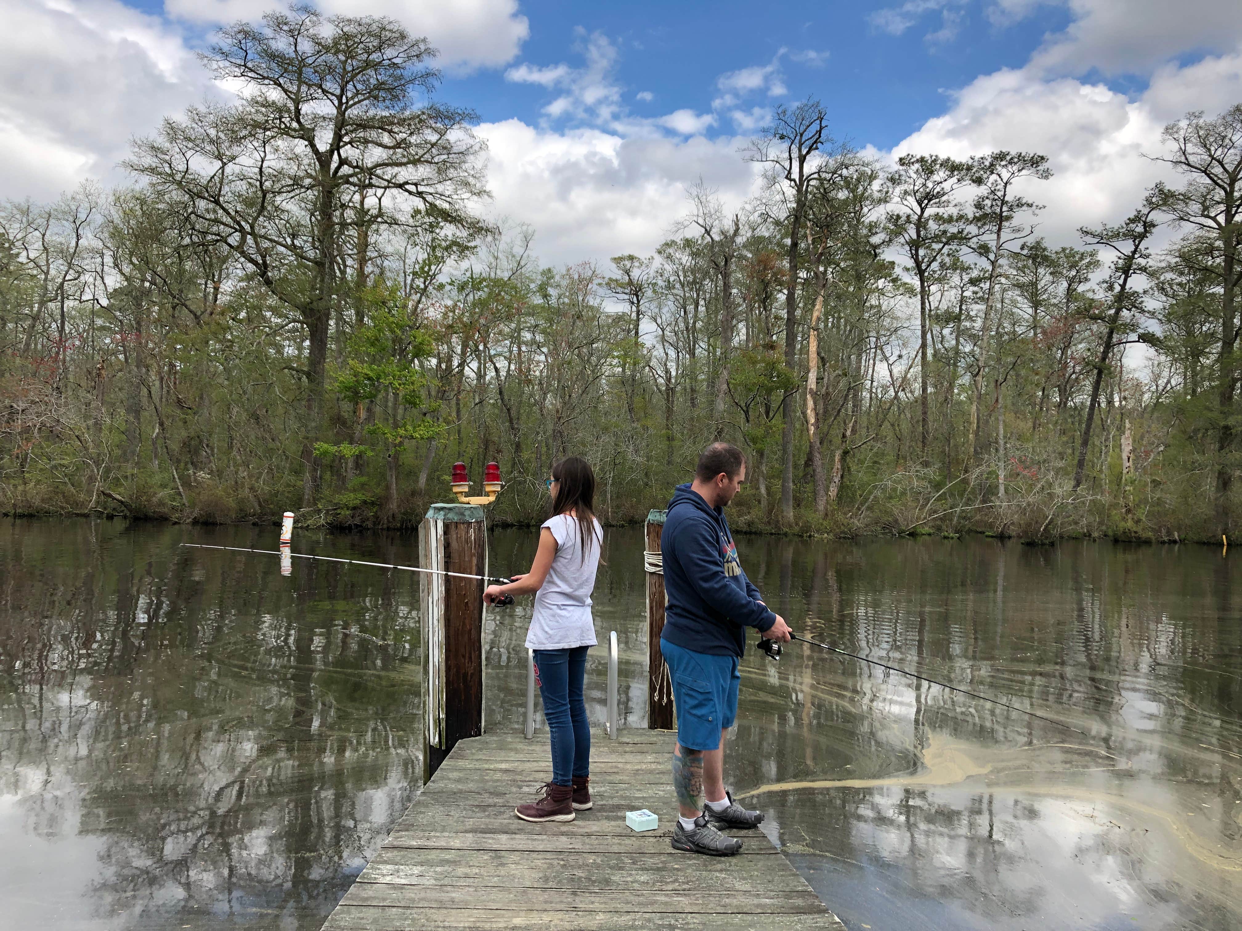 Camper submitted image from Pocomoke River State Park Campground - 4