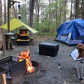 Review photo of Pocomoke River State Park Campground by Erin W., June 8, 2021