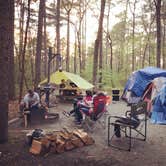 Review photo of Pocomoke River State Park Campground by Erin W., June 8, 2021