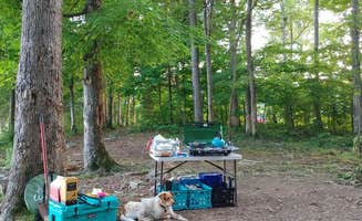 Sarah N.'s photo at TVA Public Land- Fork Bend near Clinton, TN
