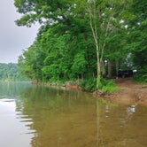 Review photo of TVA Public Land- Fork Bend  by Sarah N., June 8, 2021