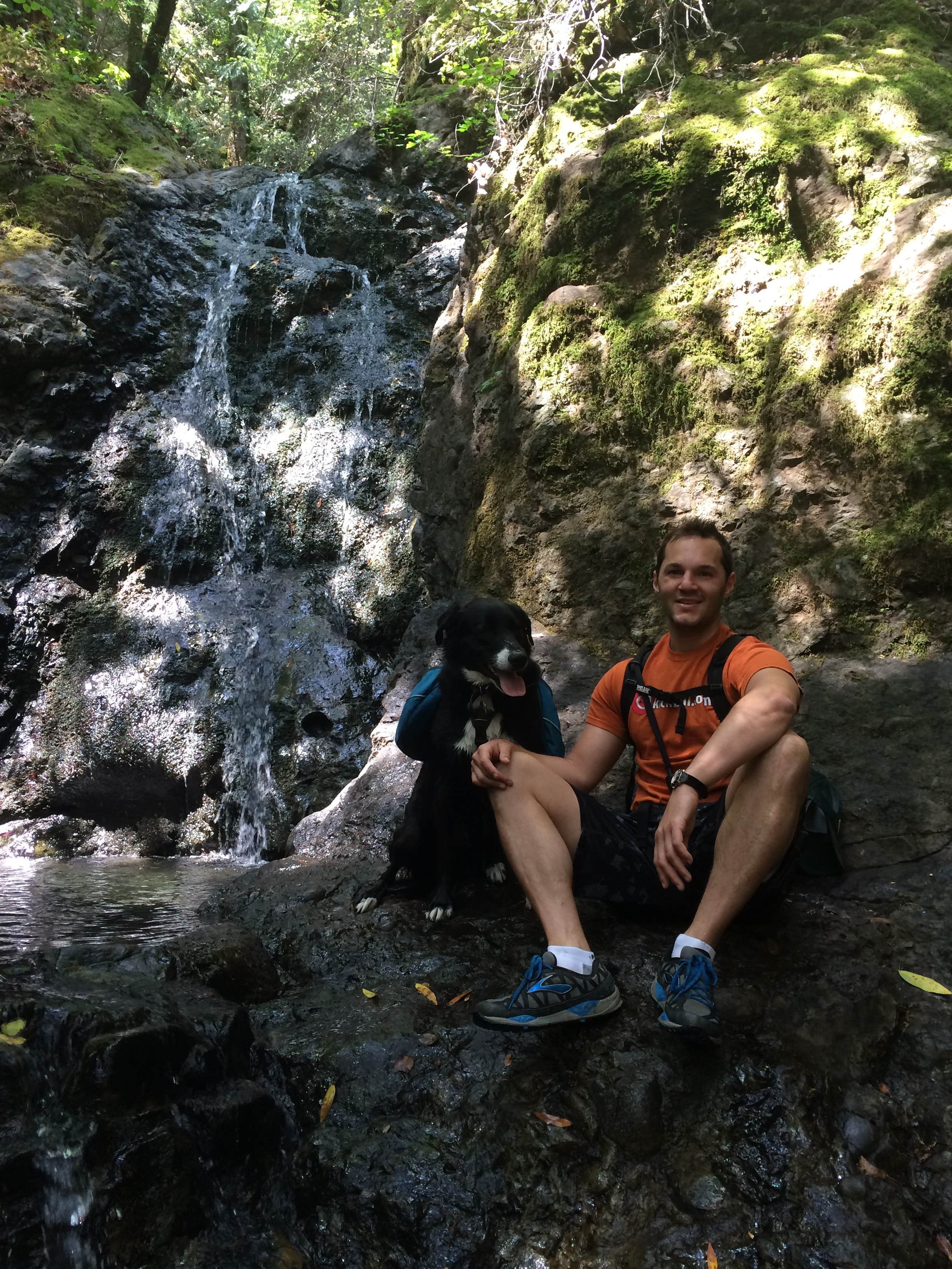 Camper submitted image from Uvas Canyon County Park - 4