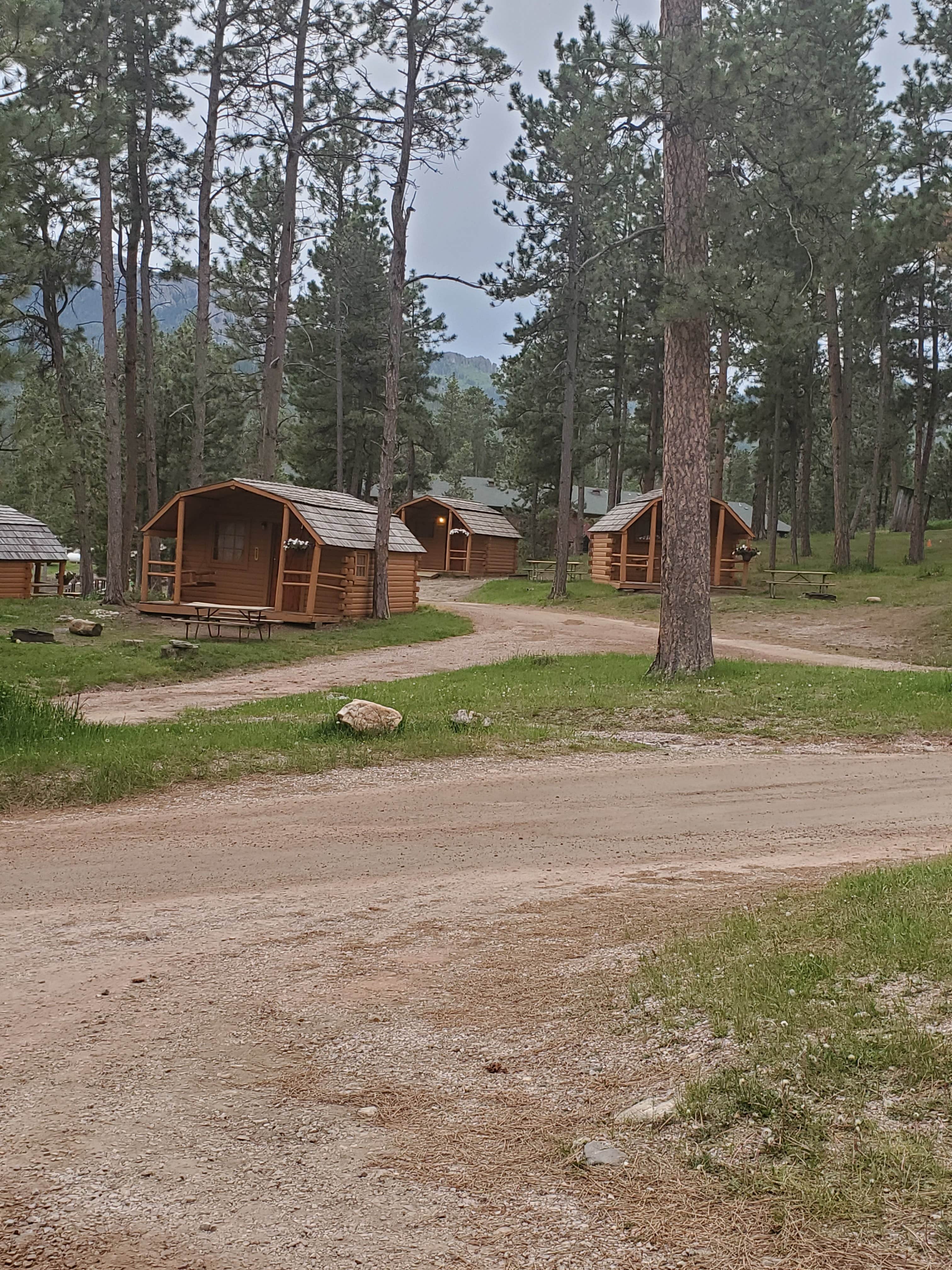 Angel R.'s photo of a cabin at Mount Rushmore KOA at Palmer Gulch near Piedmont, SD