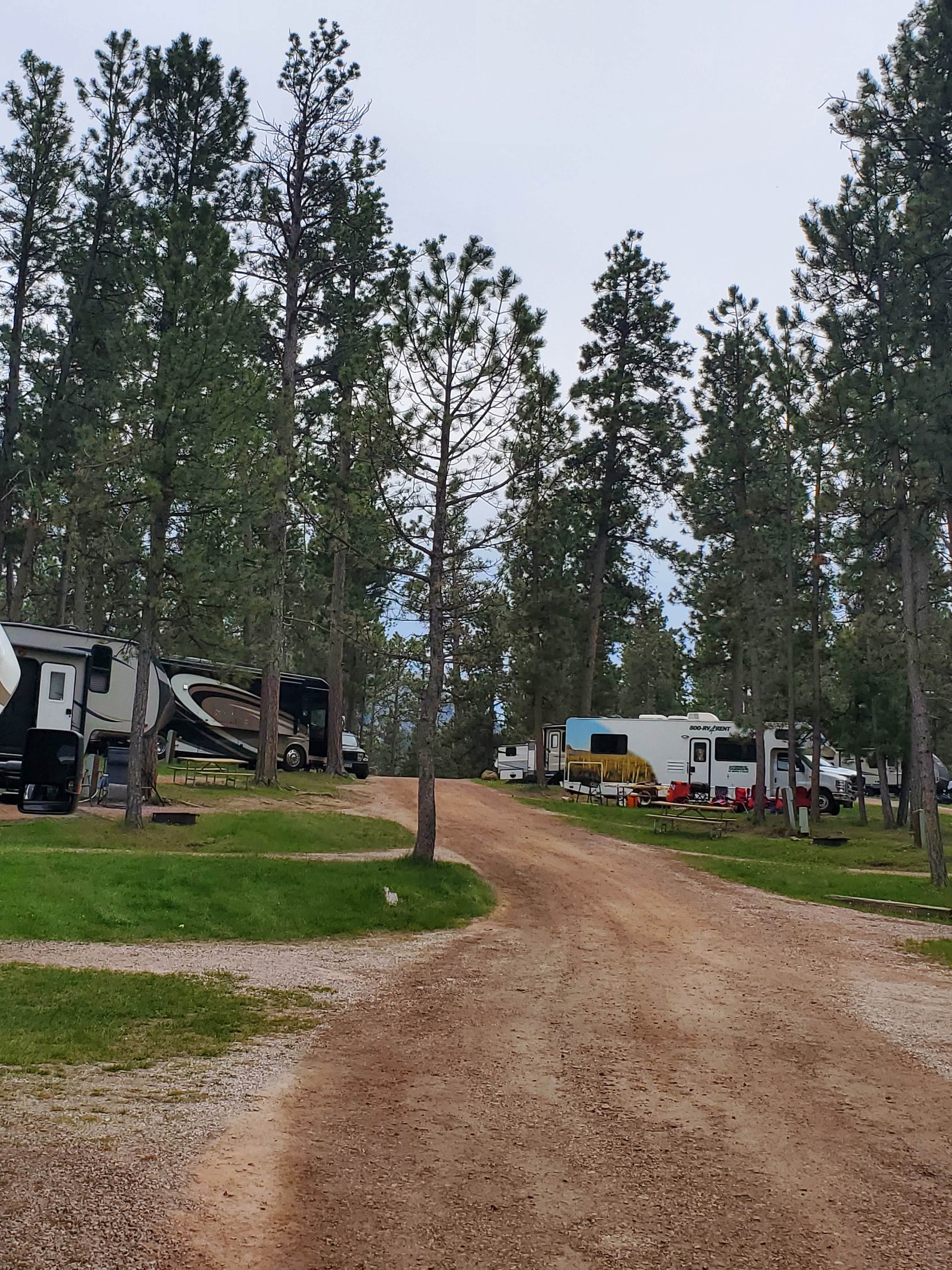 Angel R.'s photo at Mount Rushmore KOA at Palmer Gulch near Hill City, SD
