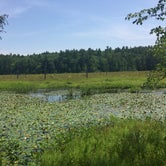 Review photo of Pawtuckaway State Park Campground by Erin W., June 8, 2021