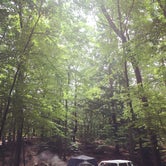 Review photo of Pawtuckaway State Park Campground by Erin W., June 8, 2021