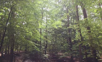 Erin W.'s photo at Pawtuckaway State Park Campground near Nottingham, NH