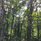 Review photo of Locust Lake State Park Campground by Erin W., June 8, 2021