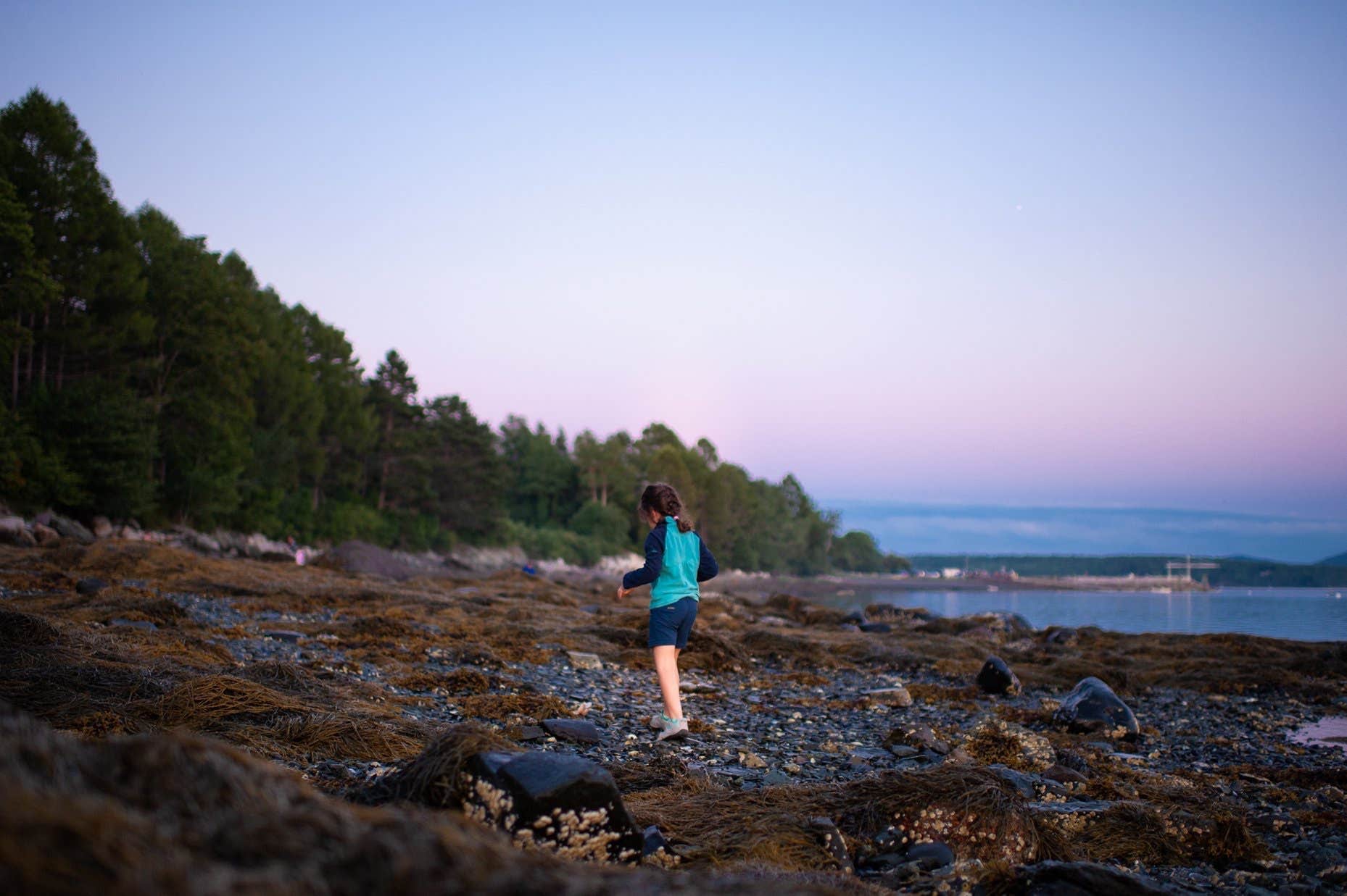 Camper submitted image from Lamoine State Park Campground - 4