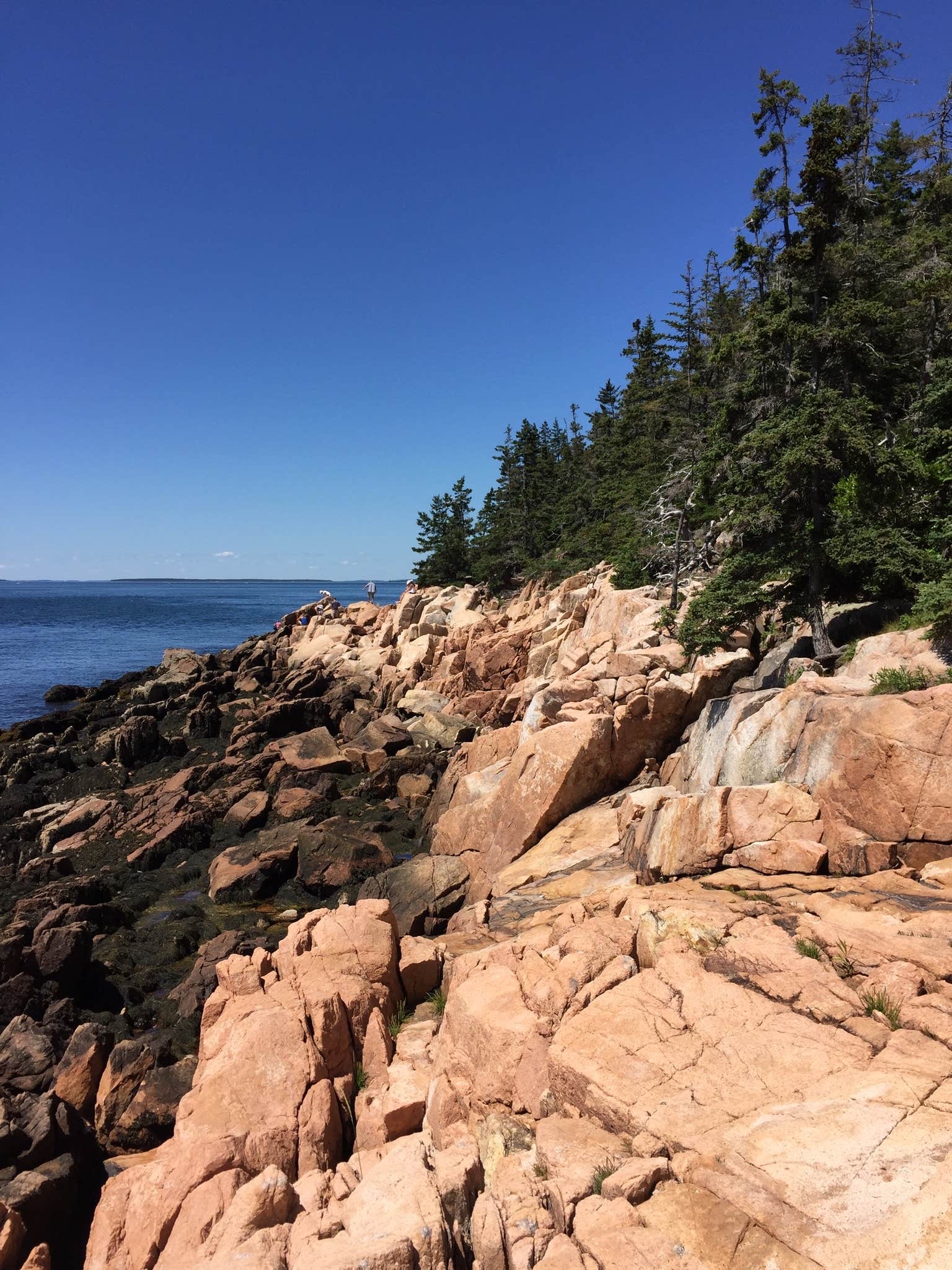 Maine's Hidden Gem: Lamoine State Park - Where Coastal Beauty Meets Tranquility