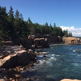 Review photo of Lamoine State Park Campground by Erin W., June 8, 2021