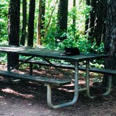 Review photo of Saddle Lake Campground — Hoosier National Forest by Shelly S., June 8, 2018