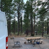 Review photo of Dogtown Lake Campground And Group by Tommy B., June 8, 2021