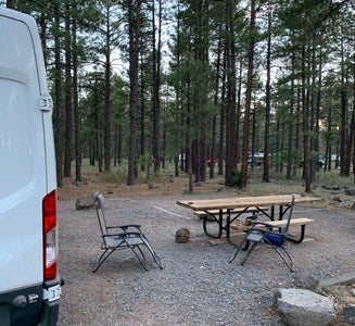 Camper-submitted photo from Dogtown Lake Campground And Group