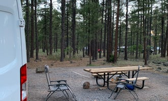 Camping near The Canyon Motel & RV Park: Dogtown Lake Campground And Group, Williams, Arizona