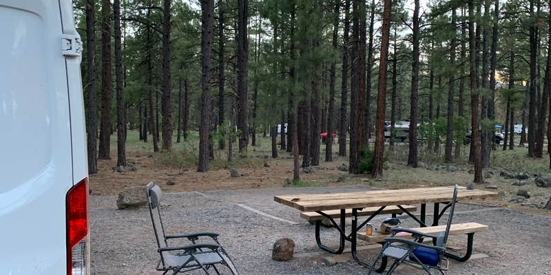 Camper submitted image from Dogtown Lake Campground And Group