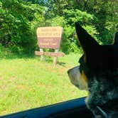 Review photo of Saddle Lake Campground — Hoosier National Forest by Shelly S., June 8, 2018