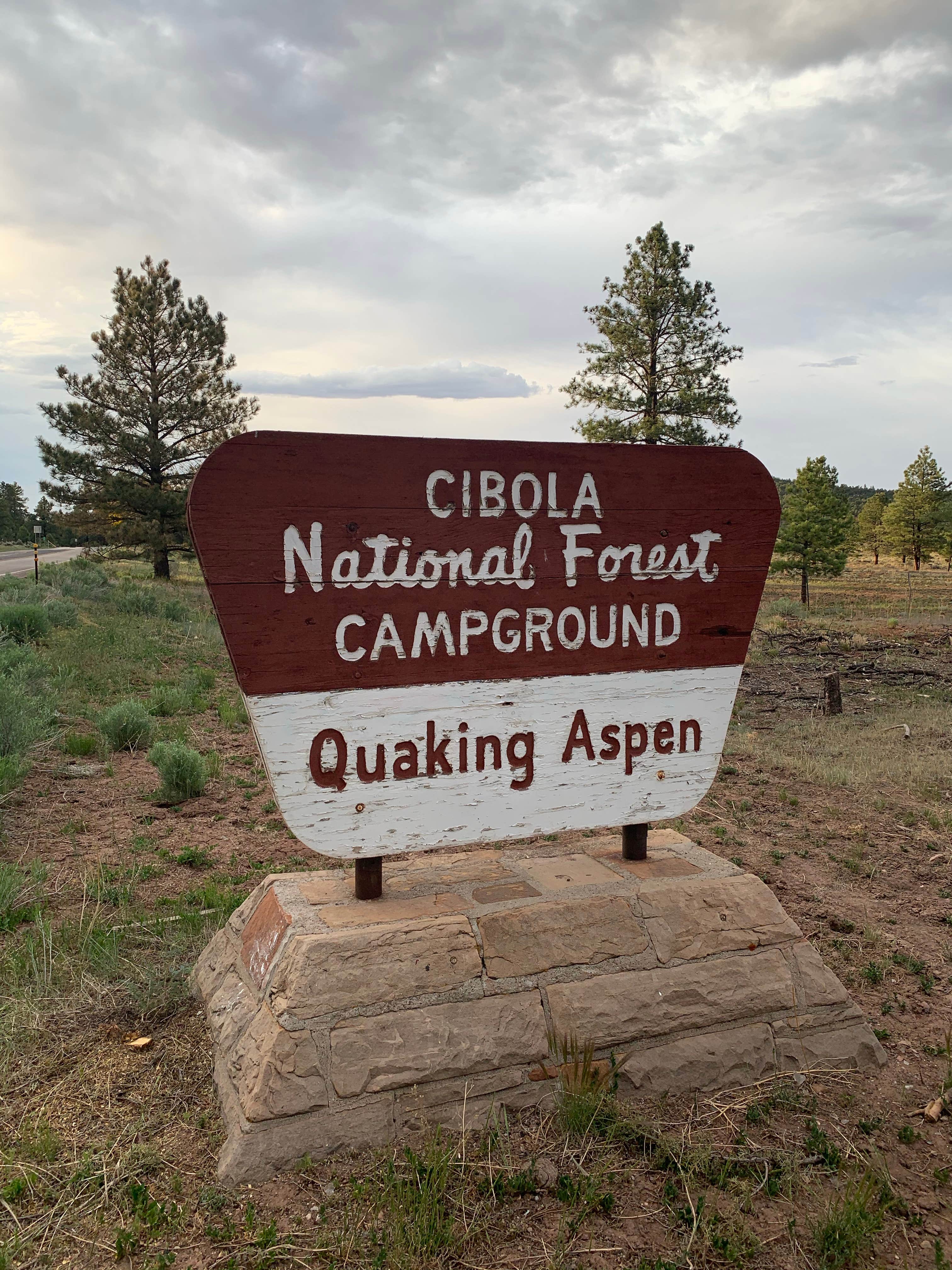 Camper submitted image from Quaking Aspen Campground - 5