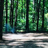 Review photo of Saddle Lake Campground — Hoosier National Forest by Shelly S., June 8, 2018