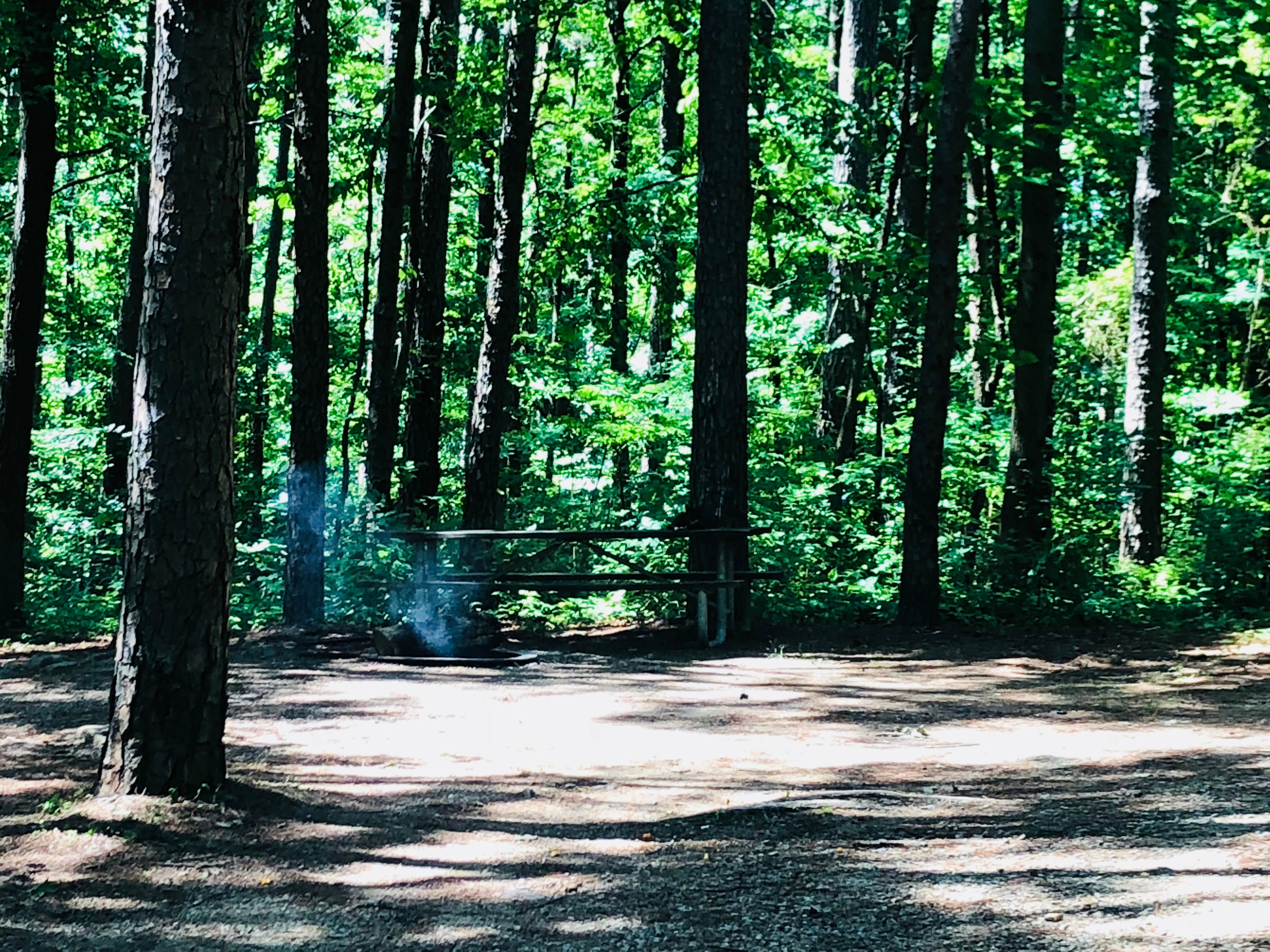 Camper submitted image from Saddle Lake Campground — Hoosier National Forest - 2