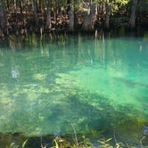 Review photo of Manatee Springs State Park Campground by Jeannie B., July 15, 2016