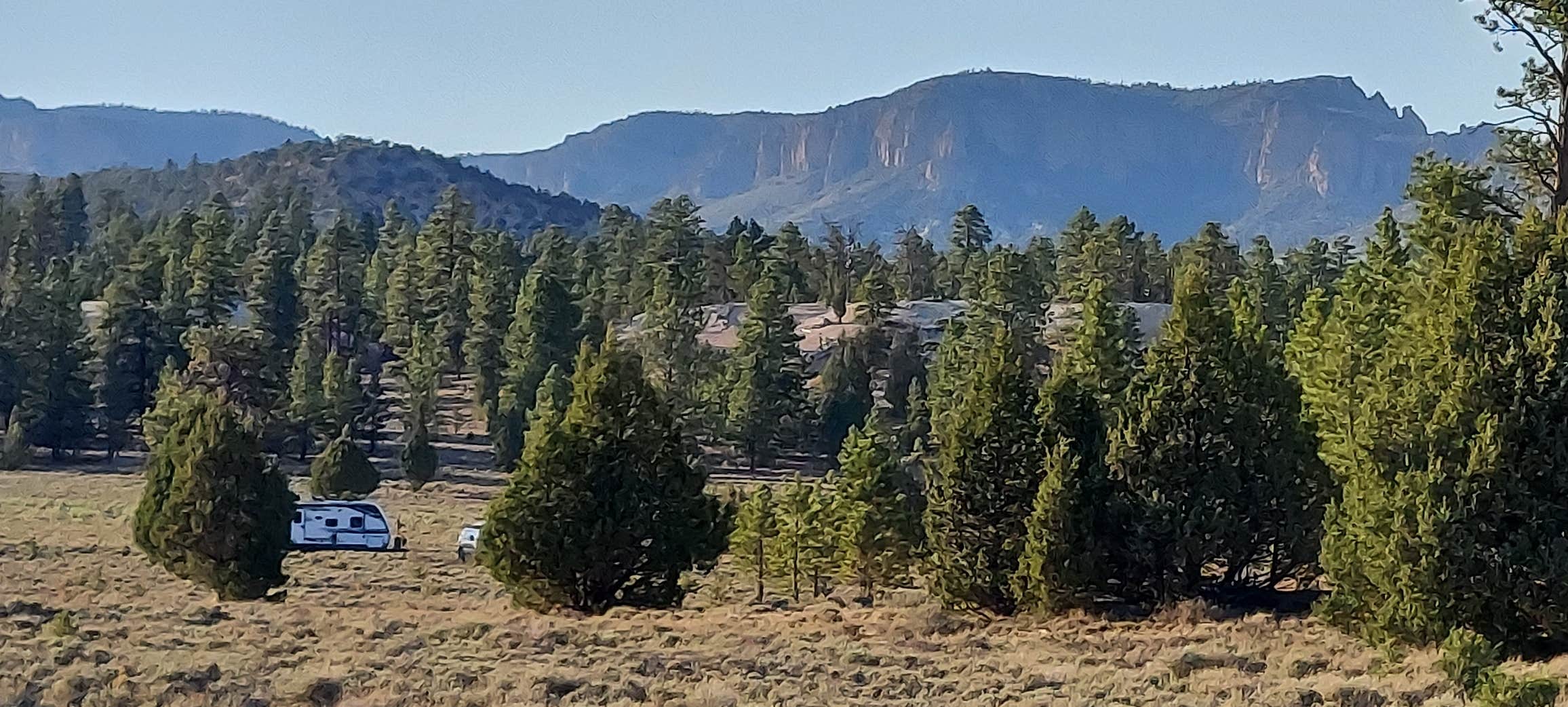 Camper-submitted photo at Toms Best Spring Road - Dispersed Camping near Beaver, UT