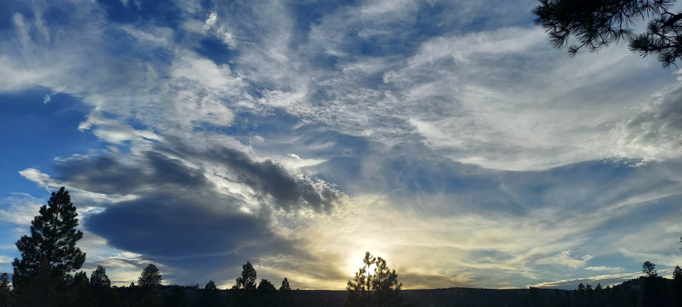 Cat F.'s photo of a dispersed camping area at Toms Best Spring Road - Dispersed Camping near Beaver, UT