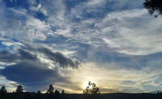 Cat F.'s photo of a dispersed camping area at Toms Best Spring Road - Dispersed Camping near Bryce Canyon National Park