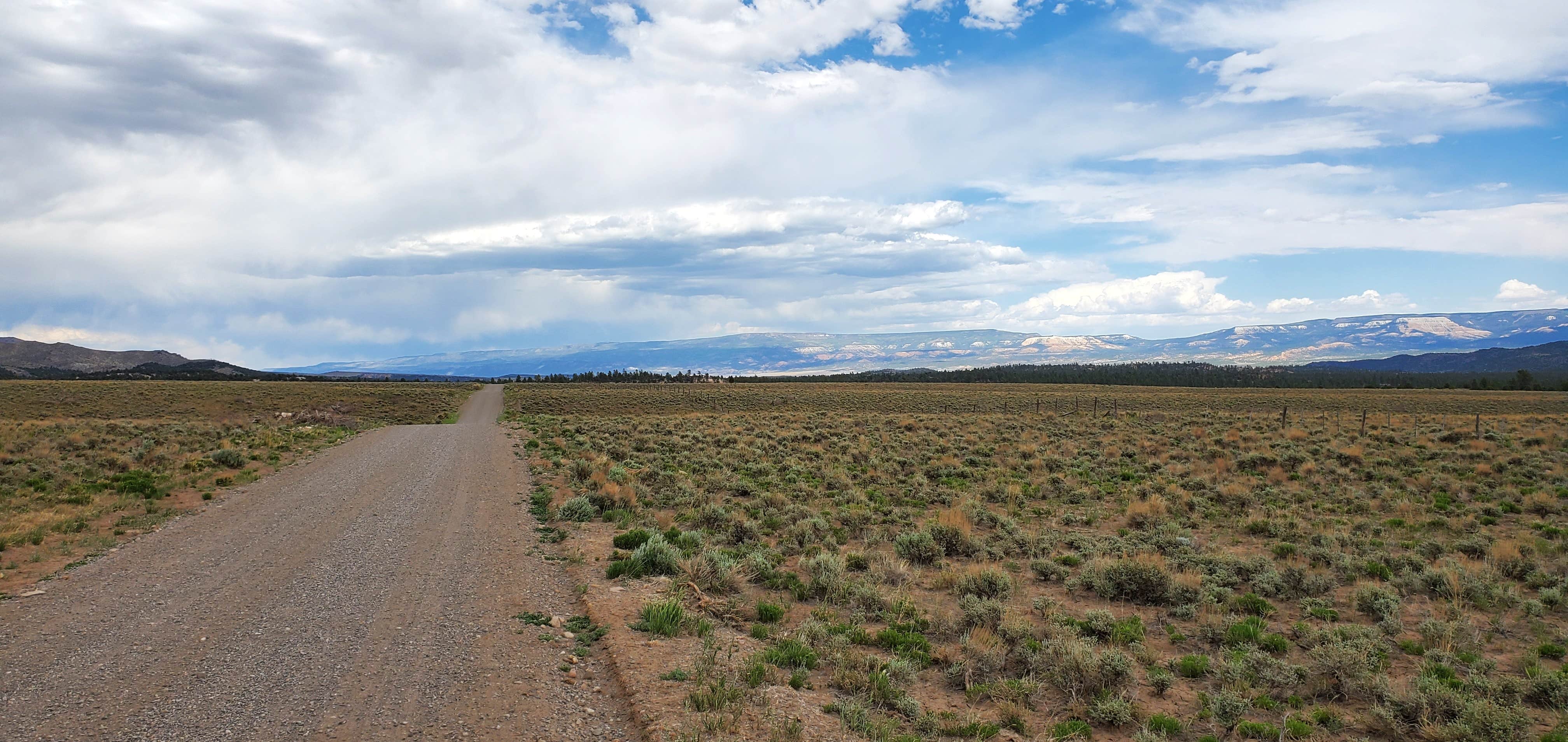 Camper-submitted photo at Toms Best Spring Road - Dispersed Camping near Dixie National Forest