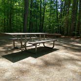 Review photo of White Lake State Park Campground by Rebecca T., June 8, 2021