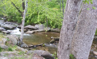 Camping near Red Gates RV Park: Creekside Mountain Camping, Gerton, North Carolina