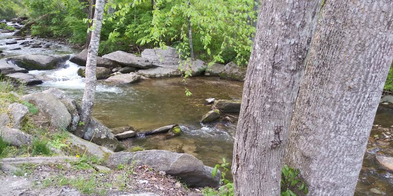 Camper submitted image from Creekside Mountain Camping