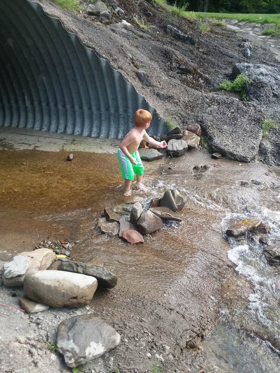 Camper-submitted photo at Sprague Brook Park near North Collins, NY